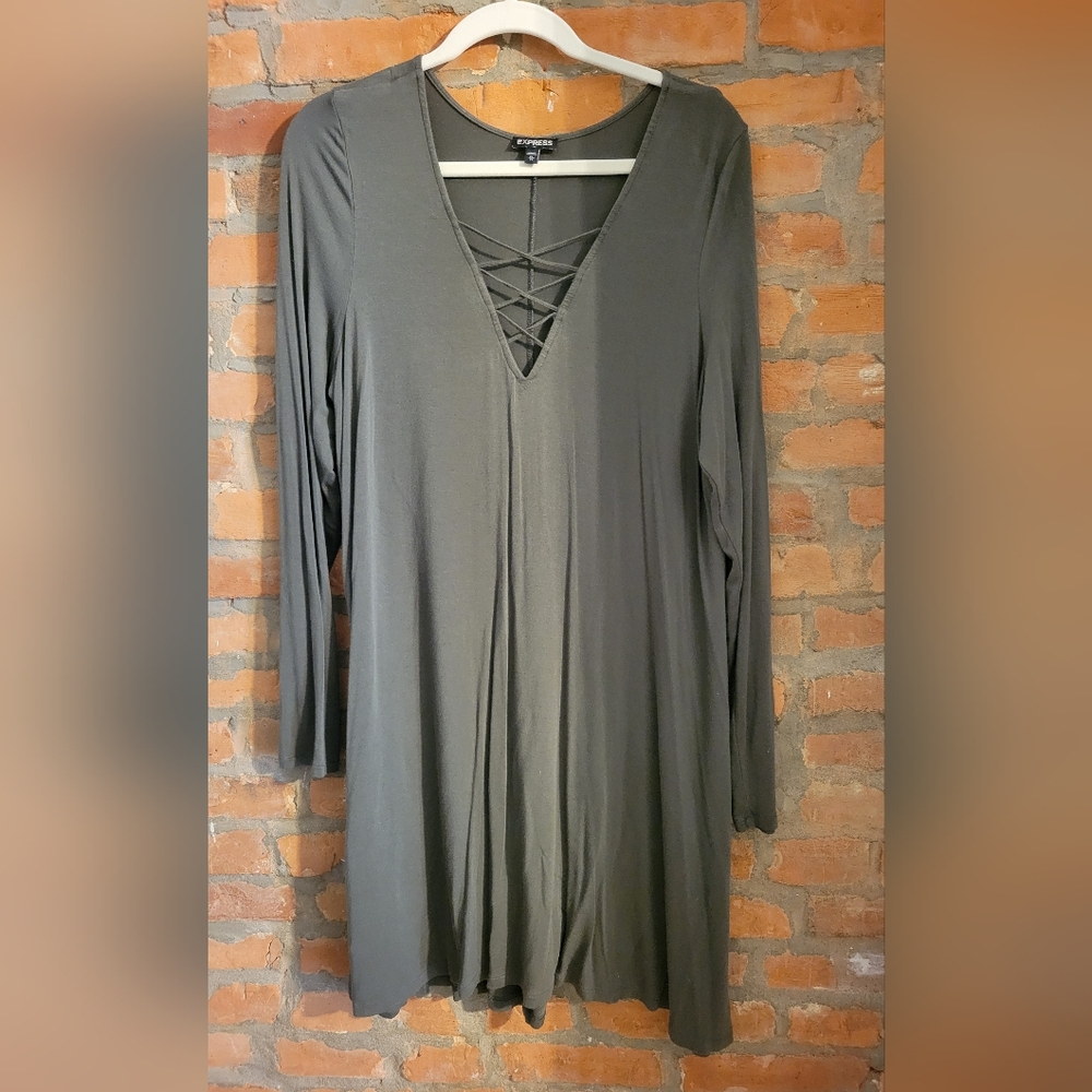 Express Aline dress